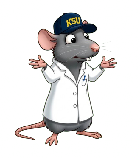 Lab Rat